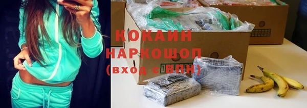 прущие грибы Шали