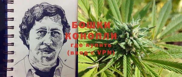 прущие грибы Шали