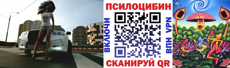 Купить  Углич  Псилоцибиновые грибы Magic Shrooms 